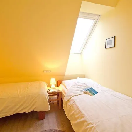 Wohnung-kompass Nebel